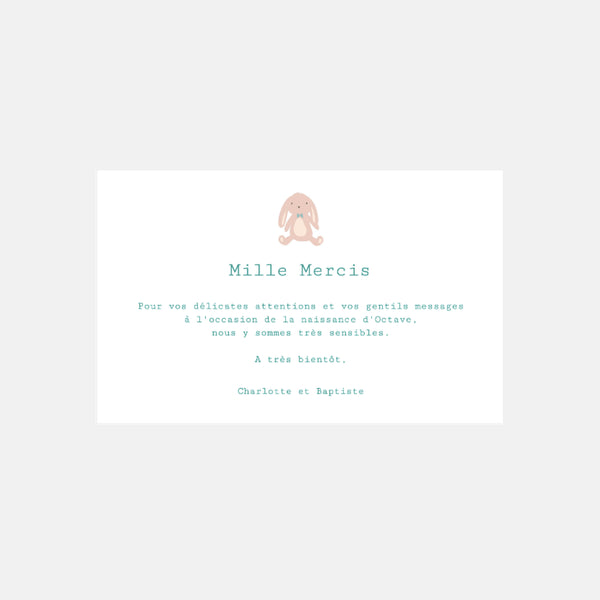 Carte de remerciement naissance Doudou Garçon