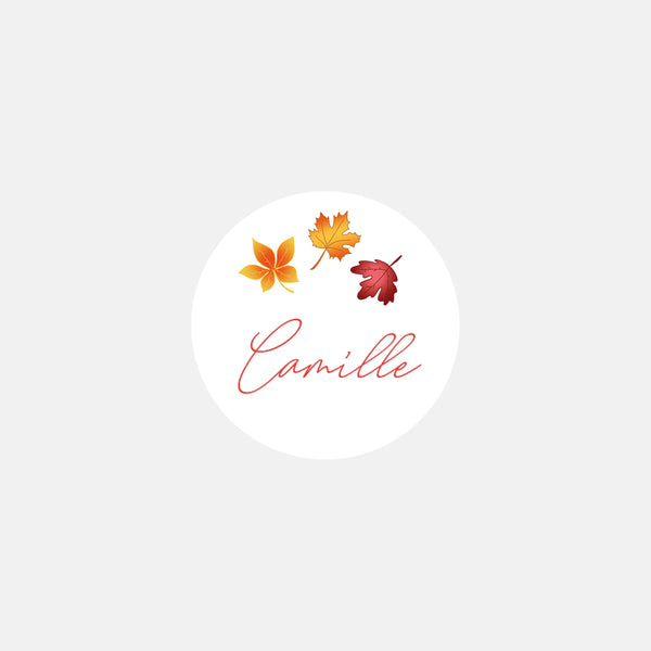 Personalized birth stickers autumn walk - 48ex