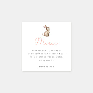 Carte de remerciement naissance Petit Lapin