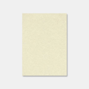 A4 sheet of translucent parchment paper 100g ivory