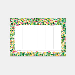 Wöchentliche Gänseblümchen