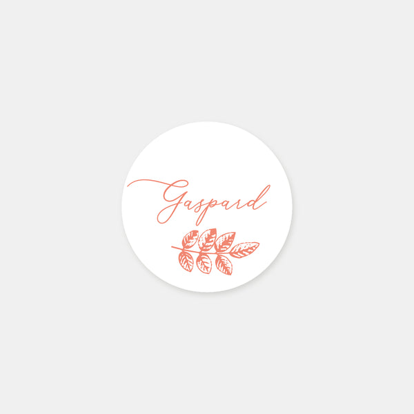 Personalized toile de jouy birth stickers - 48ex