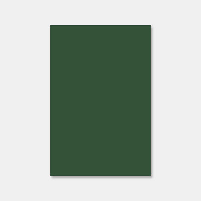A4 sheet of vellum paper 250g cactus green