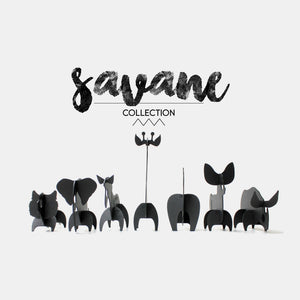 Animaux de la savane