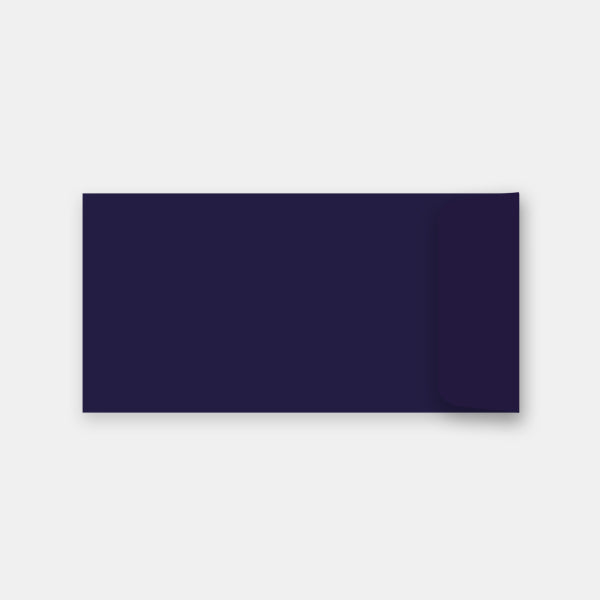 Pouch 110x220 mm navy skin