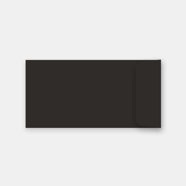 Pouch 110x220 mm black vellum