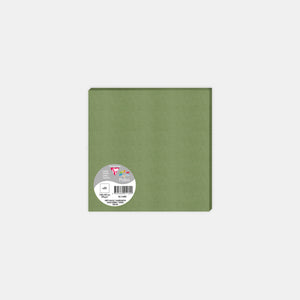 Card 160x160 vellum 210g sage green Pollen