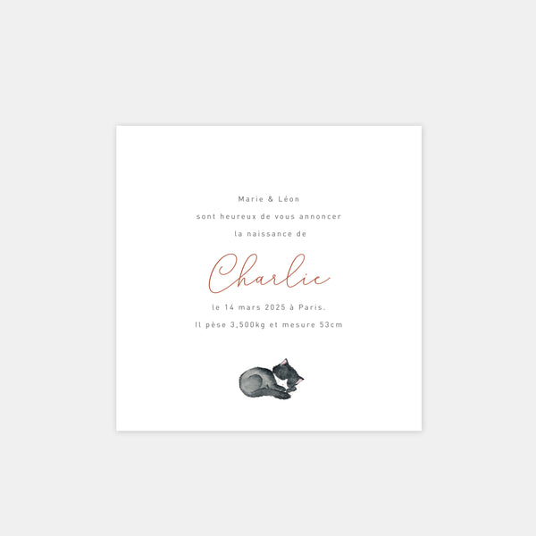 Little cat birth announcement