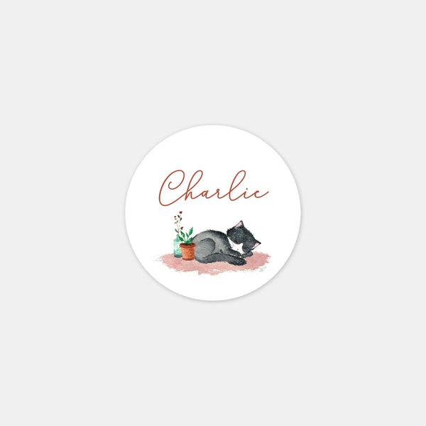 Stickers personnalisés naissance petit chat - 48ex
