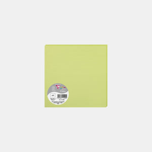 Karte 160x160 Pergament 210g grüne Knospe Pollen