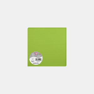 Karte 160x160 Pergament 210g mintgrüner Pollen