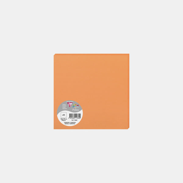 Card 160x160 vellum 210g orange clementine Pollen