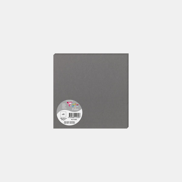 Card 160x160 vellum 210g steel gray Pollen
