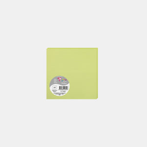 Carte 135x135 velin 210g vert bourgeon Pollen