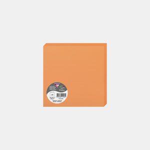 Vorgefaltete Karte 160 x 320 Pergament 210 g orangefarbener Clementinenpollen