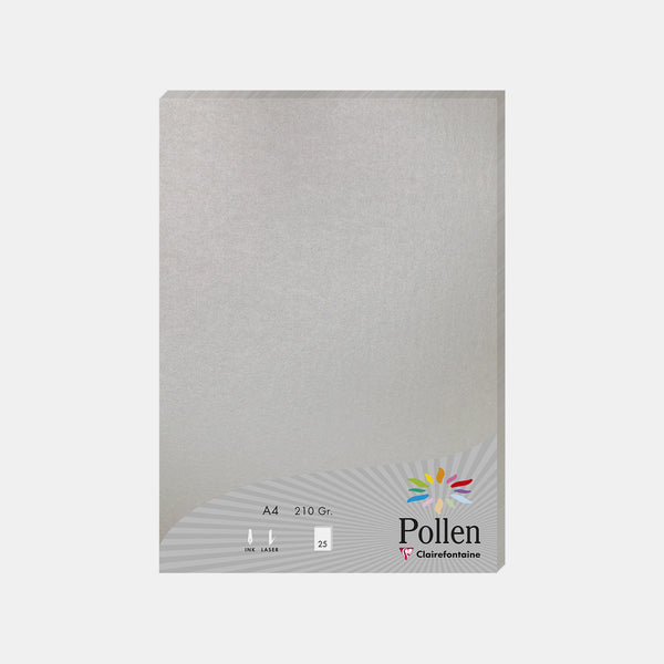 Iridescent A4 sheet 210g silver Pollen
