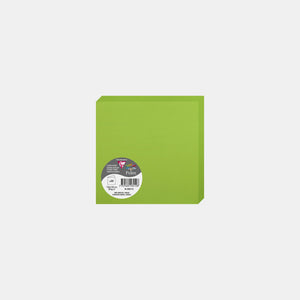 Vorgefaltete Karte 135x270 Pergament 210g mintgrüner Pollen