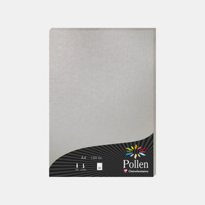 Iridescent A4 sheet 120g silver Pollen