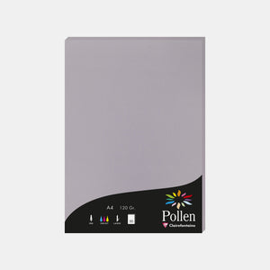 Feuille A4 velin 210g gris koala Pollen