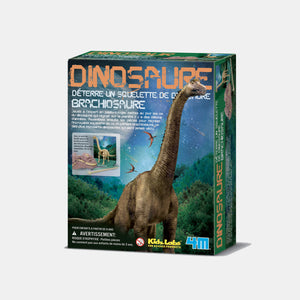 Kit de fouille dinosaures