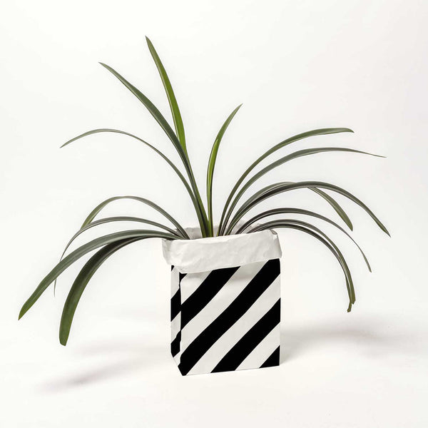 Sac en papier Fond plat noir et blanc - medium
