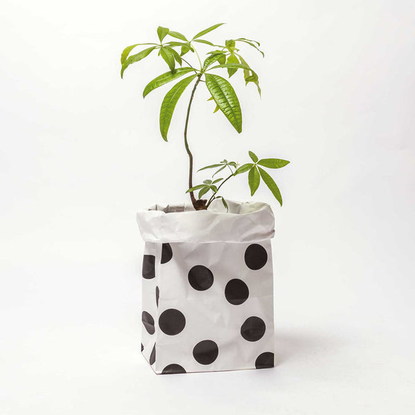 Paper bag Black and white flat bottom - large