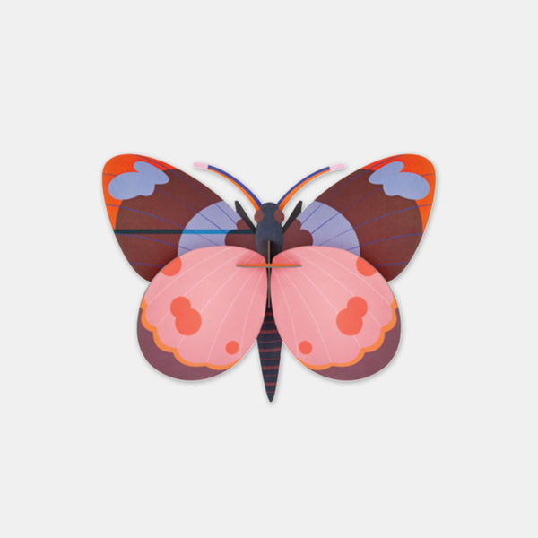 Butterfly Bellissima – Studiodach