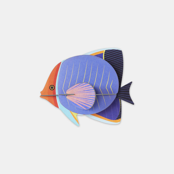 Poisson Papillon - Studio Roof