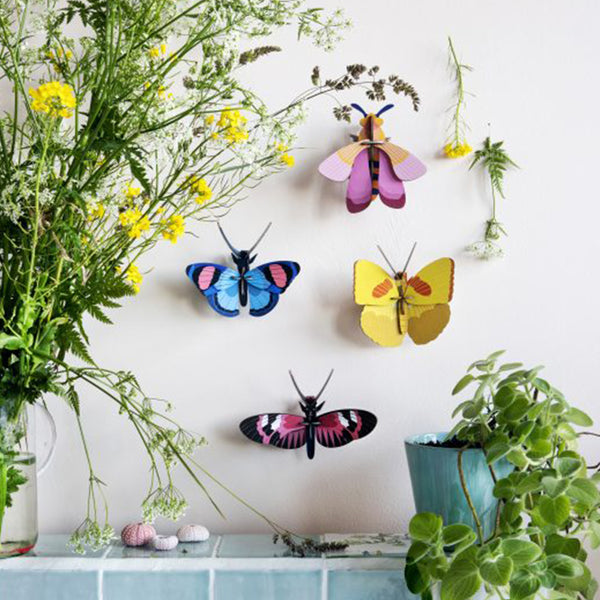 Long-winged butterfly - Studio Roof