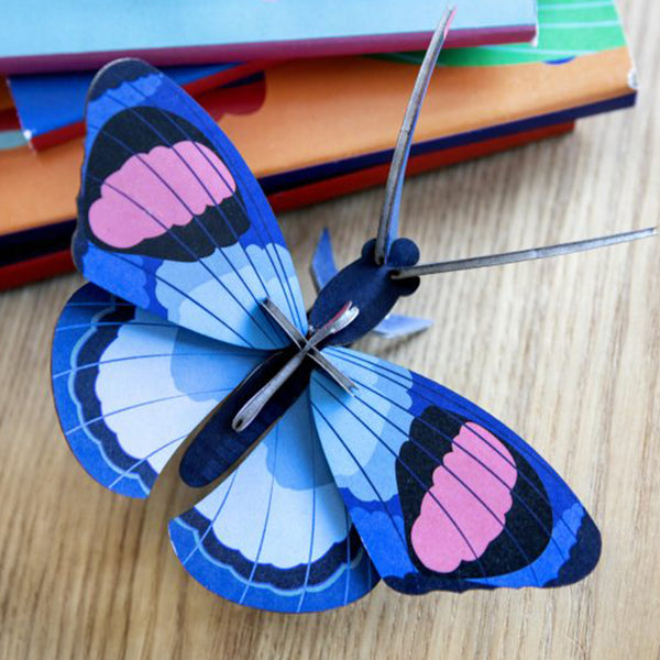 Peacock Butterfly - Studio Roof