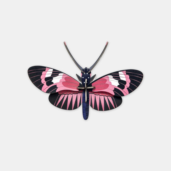 Langflügeliger Schmetterling - Studiodach