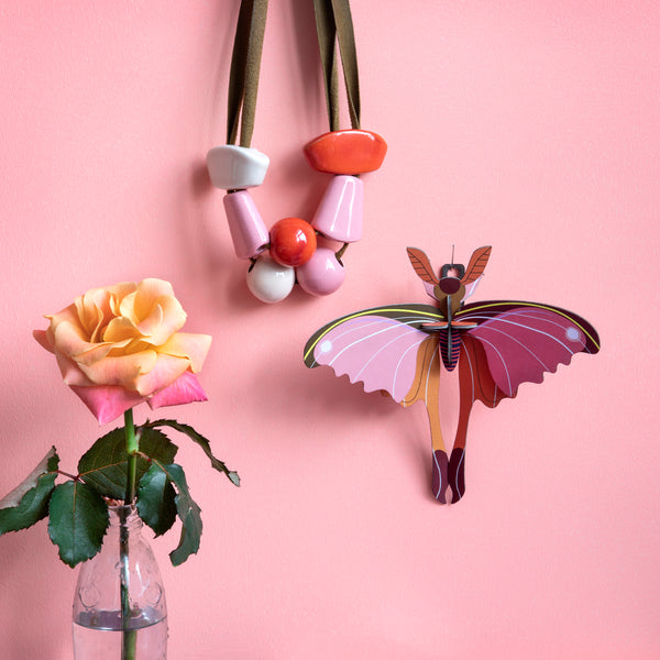 Pink Comet Butterfly - Studio Roof