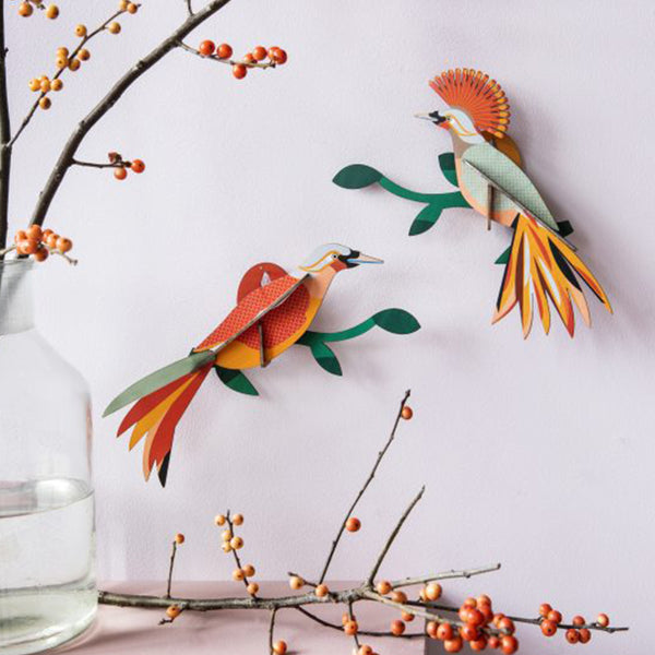 Obi, birds of paradise - Studio Roof