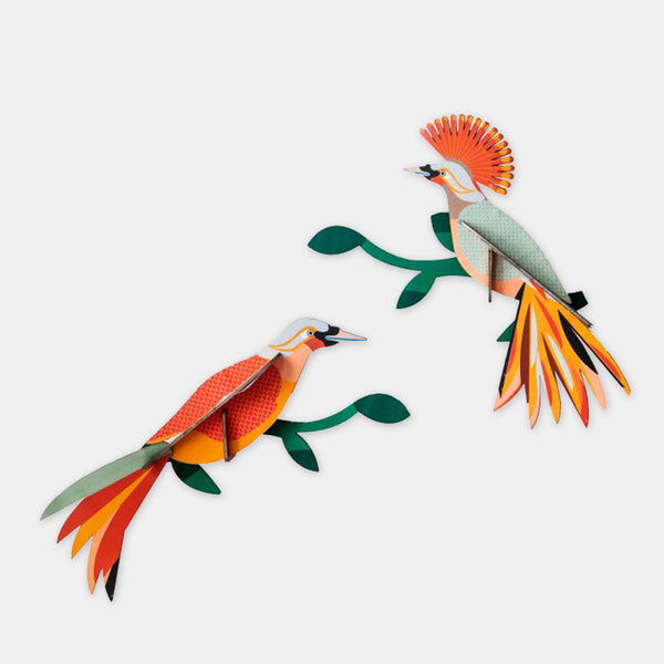 Obi, birds of paradise - Studio Roof