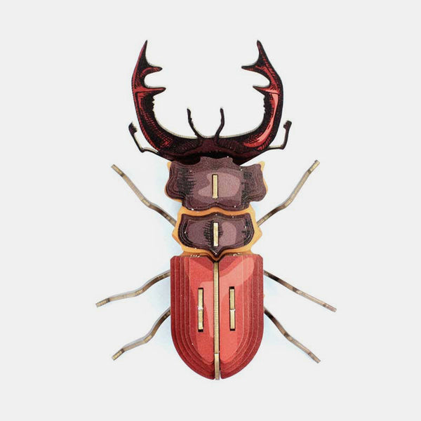 4 Insectes En Résine Transparente - Araignée, Coléoptère - Presse-Papiers Ou Décoration - Specimens Véritables