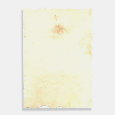 A4 sheet of parchment paper 110g cream