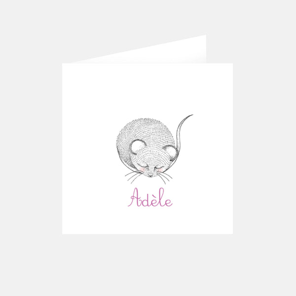 Birth announcement my mouse