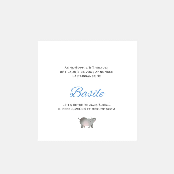 Hippopotamus medallion birth announcement