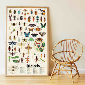 Mon poster en stickers des insectes