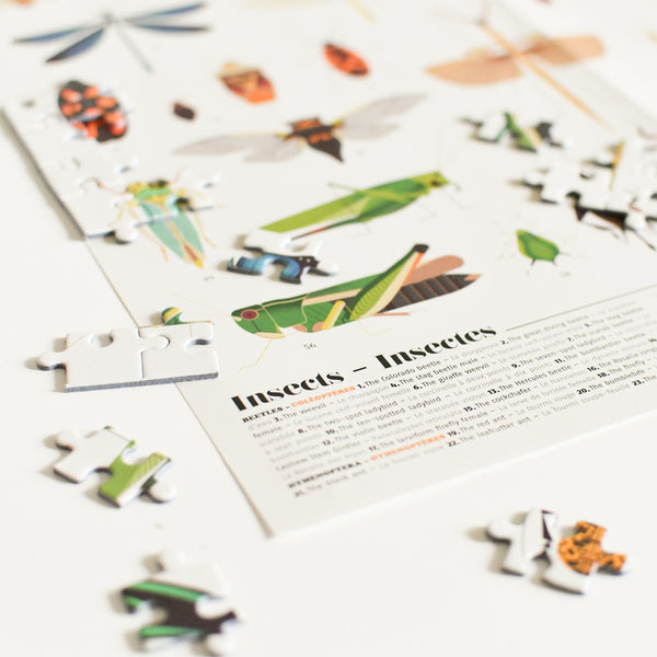 Puzzle éducatif 500 pièces Insectes